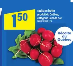 Maxi RADIS EN BOTTE offer
