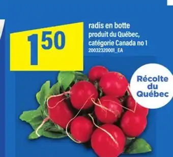 Maxi RADIS EN BOTTE offer