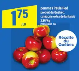 Maxi POMMES PAULA RED offer