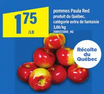 Maxi POMMES PAULA RED offer