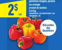 Maxi POIVRONS ROUGES, JAUNES OU ORANGE offer
