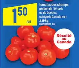 Maxi TOMATES DES CHAMPS offer