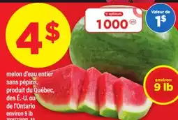 Maxi MELON D'EAU ENTIER SANS PÉPINS, ENVIRON 9 LB offer