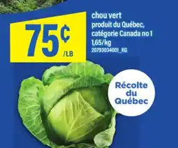 Maxi CHOU VERT offer