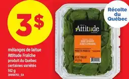 Maxi MÉLANGES DE LAITUE ATTITUDE FRAÎCHE, 142 G offer
