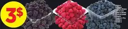 Maxi MÛRES OU FRAMBOISES OU BLEUTS, 170 g offer