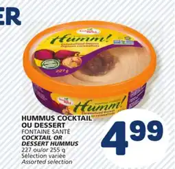 Marché Bonichoix FONTAINE SANTÉ COCKTAIL OR DESSERT HUMMUS offer