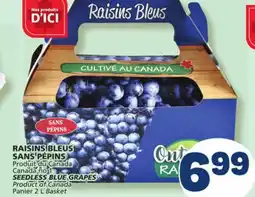 Marché Bonichoix SEEDLESS BLUE GRAPES offer