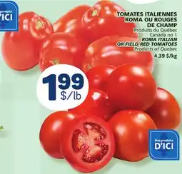 Marché Bonichoix ROMA ITALIAN OR FIELD RED TOMATOES offer