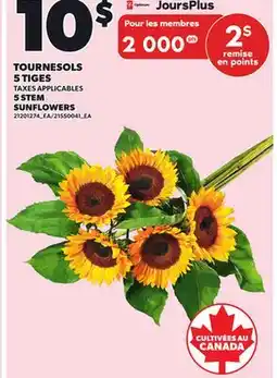 Provigo TOURNESOLS 5 TIGES offer