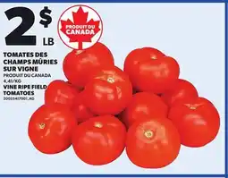 Provigo TOMATES DES CHAMPS MÛRIES SUR VIGNE offer