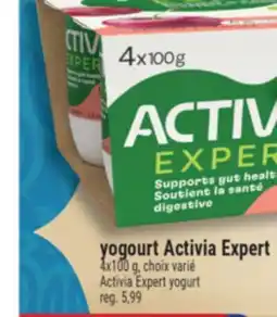 Marché Adonis YOGOURT ACTIVIA EXPERT | ACTIVIA EXPERT YOGURT offer