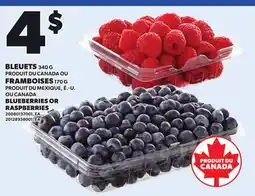 Provigo BLEUETS 340 G OU FRAMBOISES, 170 G offer