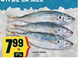 Marché Adonis SARDINES FRAÎCHES | FRESH SARDINES offer