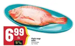 Marché Adonis TILAPIA ROUGE ENTIER | WHOLE RED TILAPIA offer