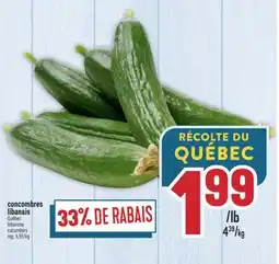 Marché Adonis CONCOMBRES LIBANAIS | LEBANESE CUCUMBERS offer
