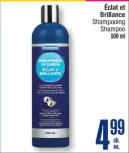 Jean Coutu PERSONNELLE Éclat et Brillance Shampoo offer