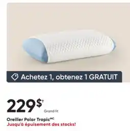 Dormez Vous Oreiller Polar Tropic offer