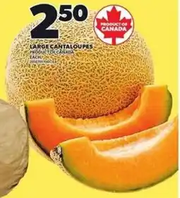 Loblaws Large cantaloupes offer