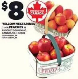 Loblaws Yellow nectarines or peaches offer