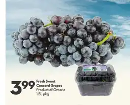 Longo's Fresh Sweet Concord Grapes offer