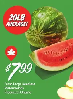 Longo's Fresh Large Seedless Watermelons offer