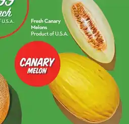 Longo's Fresh Canary Melons offer