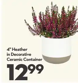 Longo's 4 Heather in Decorative Ceramic Container offer