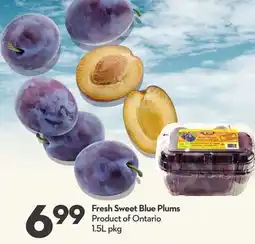 Longo's Fresh Sweet Blue Plums offer