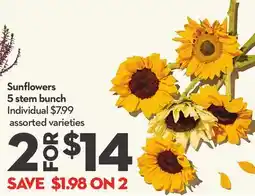 Longo's Sunflowers 5 stem bunch offer
