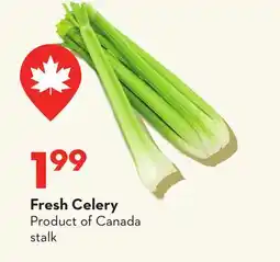 Longo's Fresh Celery offer