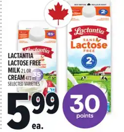 Metro LACTANTIA LACTOSE FREE MILK offer