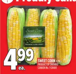 Metro SWEET CORN offer