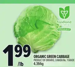 Metro ORGANIC GREEN CABBAGE offer