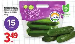 Metro MINI CUCUMBERS offer