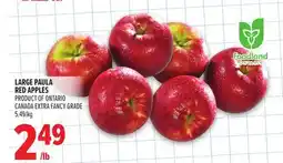 Metro LARGE PAULA RED APPLES offer