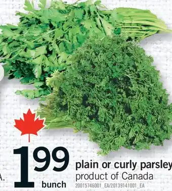 Fortinos PLAIN OR CURLY PARSLEY, BUNCH offer