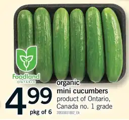 Fortinos ORGANIC MINI CUCUMBERS, pkg of 6 offer