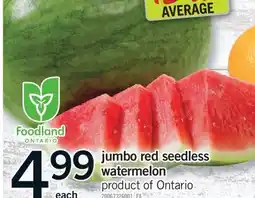 Fortinos JUMBO RED SEEDLESS WATERMELON offer