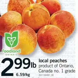 Fortinos LOCAL PEACHES offer