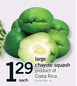 Fortinos LARGE CHAYOTE SQUASH offer