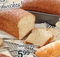 Fortinos SPROUTED GRAINS, 600 g offer