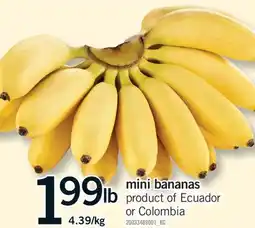 Fortinos MINI BANANAS offer