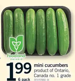 Fortinos MINI CUCUMBERS, 6 PACK offer