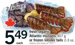 Fortinos FRESH ORGANIC ATLANTIC MUSSELS 907 G OR FROZEN LOBSTER TAILS 2-3 OZ offer
