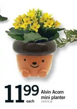 Fortinos ALVIN ACORN MINI PLANTER offer