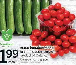 Fortinos GRAPE TOMATOES, 283 G OR MINI CUCUMBERS, 6'S offer