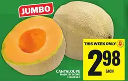 Food Basics CANTALOUPE offer