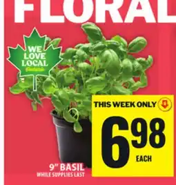 Food Basics 9 BASIL offer