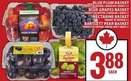Food Basics BLUE PLUM BASKET OR BLUE GRAPES BASKET, NECTARINE BASKET OR BARTLETT PEAR BASKET offer